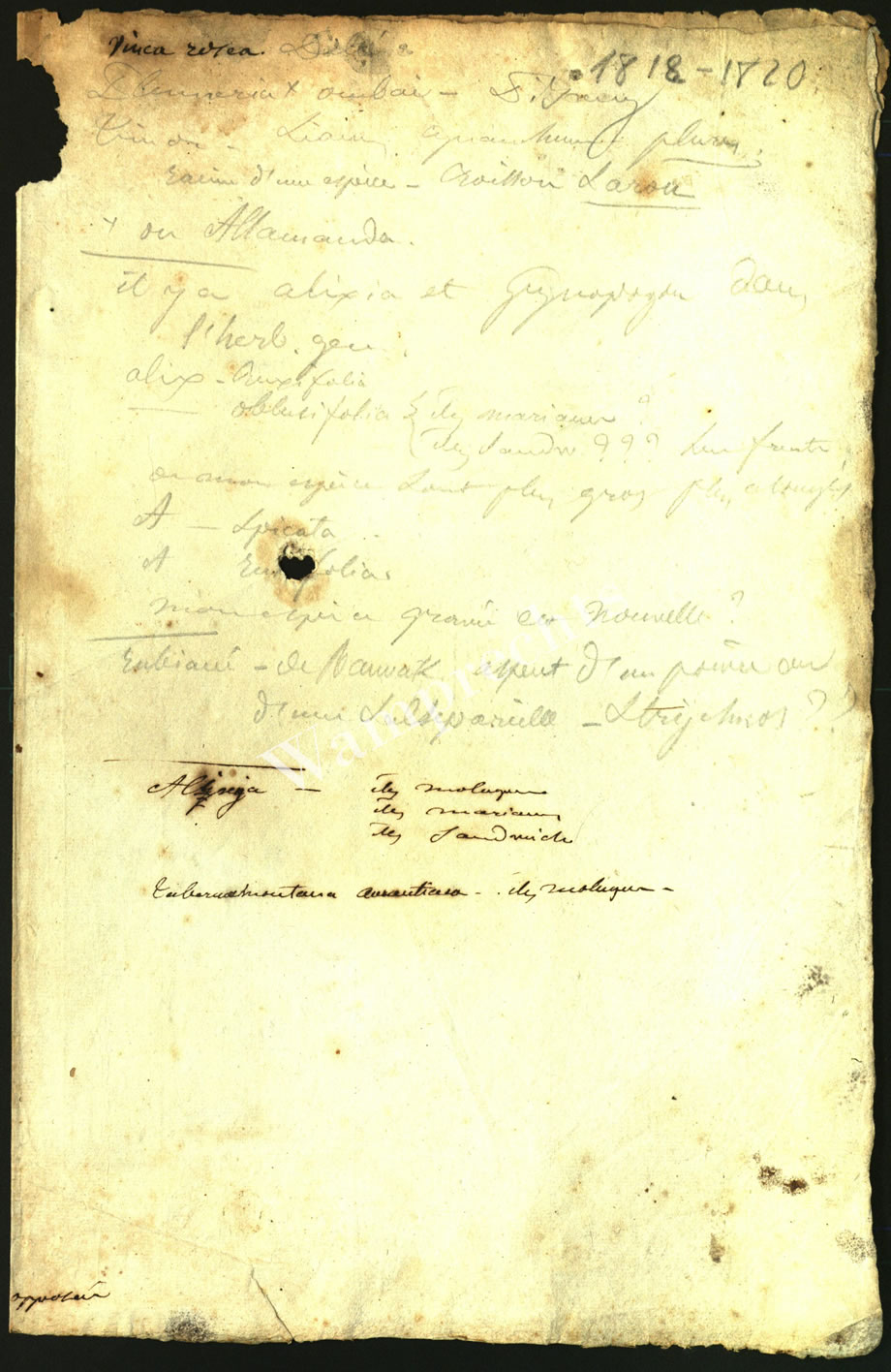 Scientific Notes of Gaudichaud Beaupré