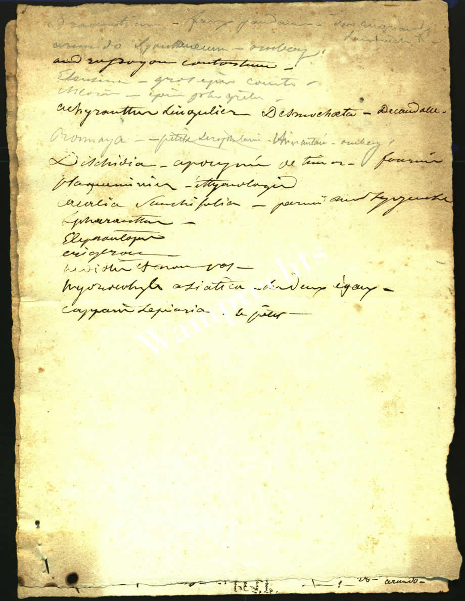 Scientific Notes of Gaudichaud Beaupré