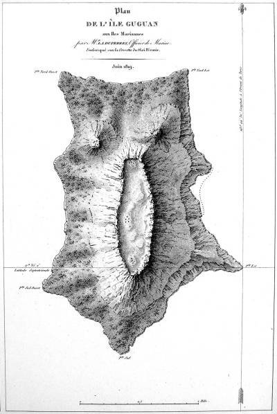 Botanical Ink Wash Drawings, Jacques Arago