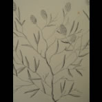 Botanical Ink Wash Drawings, Jacques Arago