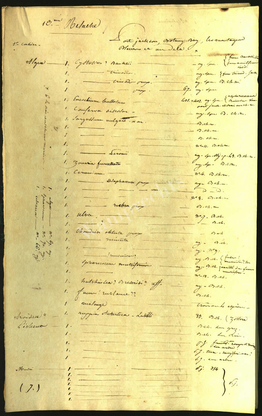 Scientific Notes of Gaudichaud Beaupré